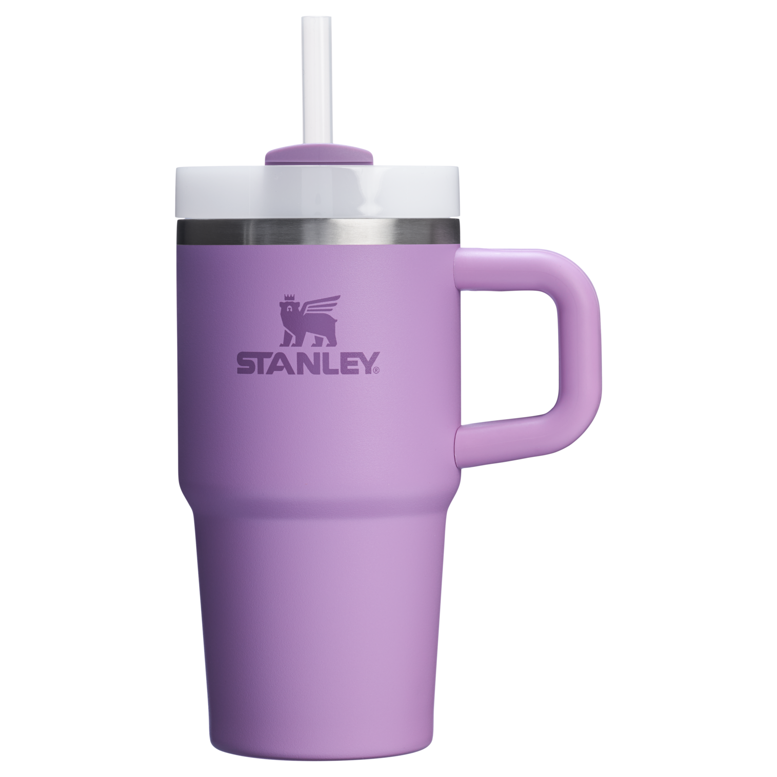 The Quencher H2.O FlowState™ Tumbler with Handle | 20 OZ - Stanley Create